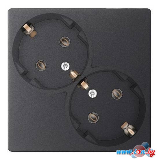 Розетка Simon 2450459-038 (графит) в Могилёве