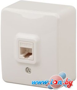 Розетка компьютерная ЭРА 11-3203-02 в Могилёве