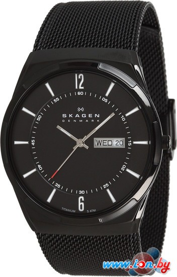 Наручные часы Skagen SKW6006 в Могилёве