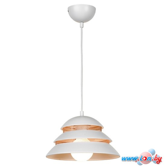 Подвесная люстра Lussole Loft Beijing LSP-8130 в Гродно