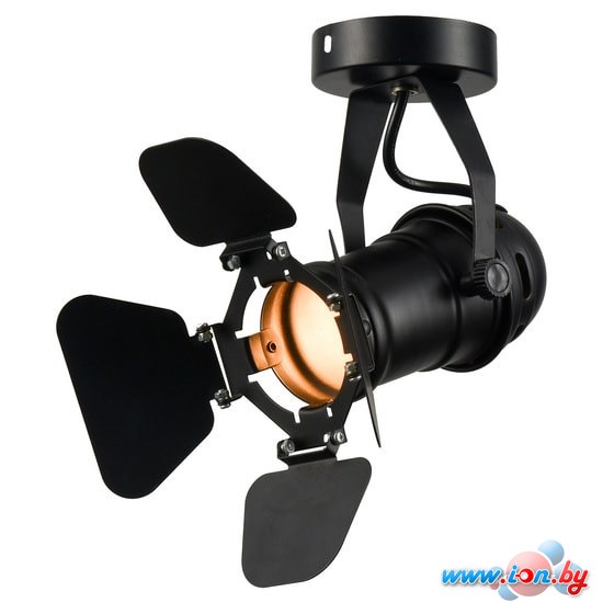 Спот Lussole Loft Expression LSP-9838 в Могилёве