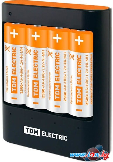 Аккумуляторы + зарядное TDM Electric 36044Н SQ1702-0101 в Гродно