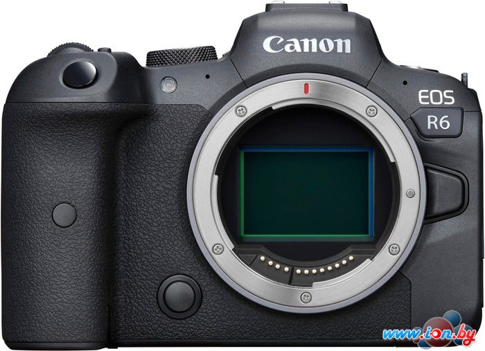 Беззеркальный фотоаппарат Canon EOS R6 Body в Витебске