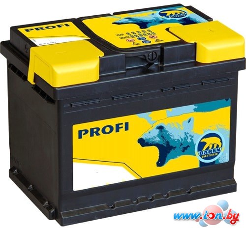 Автомобильный аккумулятор Baren Profi 7905684 (60 А·ч) в Могилёве