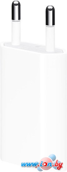 Сетевое зарядное Apple 5W USB Power Adapter MGN13ZM/A в Могилёве