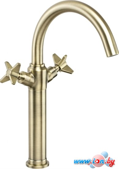 Смеситель Deante Temisto BQT M25D в Могилёве