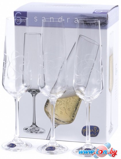 Набор бокалов для шампанского Bohemia Crystal Sandra 40728/C5995/200 в Витебске