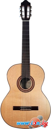 Акустическая гитара Kremona F65C в Гомеле