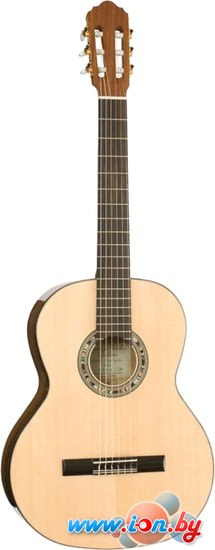 Акустическая гитара Kremona R65S в Гомеле