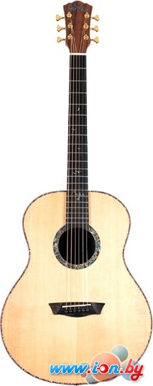 Акустическая гитара Washburn Bella Tono Elegante S24S (глянцевый натуральный) в Гомеле