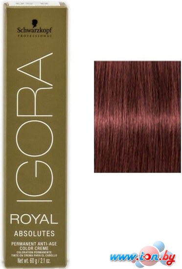 Крем-краска для волос Schwarzkopf Professional Igora Royal Absolutes 5-80 60мл в Могилёве