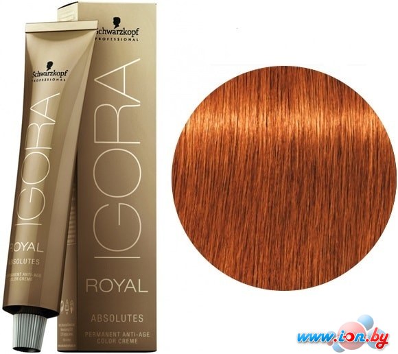 Крем-краска для волос Schwarzkopf Professional Igora Royal Absolutes 7-70 60мл в Могилёве