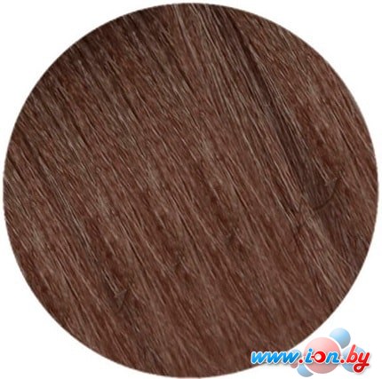 Крем-краска для волос Wild Color Permanent Hair 6.32 6B 180 мл в Бресте