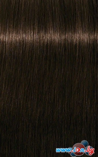 Крем-краска для волос Schwarzkopf Professional Igora Royal Nude Tones 4-46 60 мл в Бресте