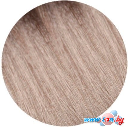 Крем-краска для волос Wild Color Permanent Hair 7.32 7B 180 мл в Бресте