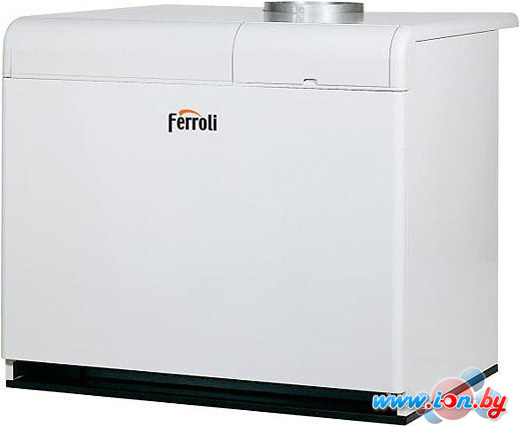 Отопительный котел Ferroli Pegasus F3 N 2S 119 в Витебске