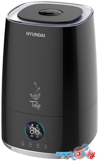 Увлажнитель воздуха Hyundai Tulip H-HU8E-4.0-UI184 в Бресте