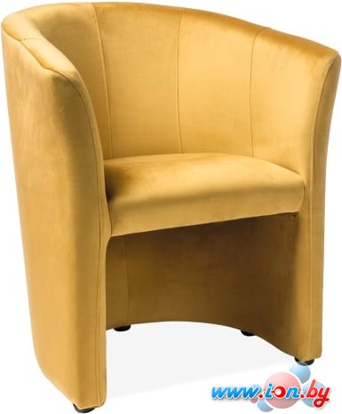 Интерьерное кресло Signal TM-1 Velvet (карри) в Гомеле