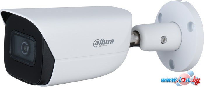 IP-камера Dahua DH-IPC-HFW3441EP-SA-0280B в Гомеле