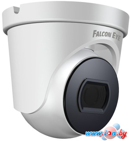 IP-камера Falcon Eye FE-IPC-D2-30p в Бресте