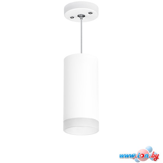 Подвесная люстра Lightstar Rullo RP648680 в Бресте