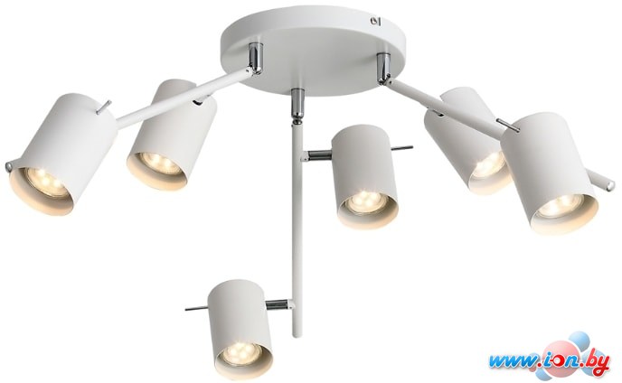 Люстра средней высоты ST Luce Fanale SL597.502.06 в Могилёве