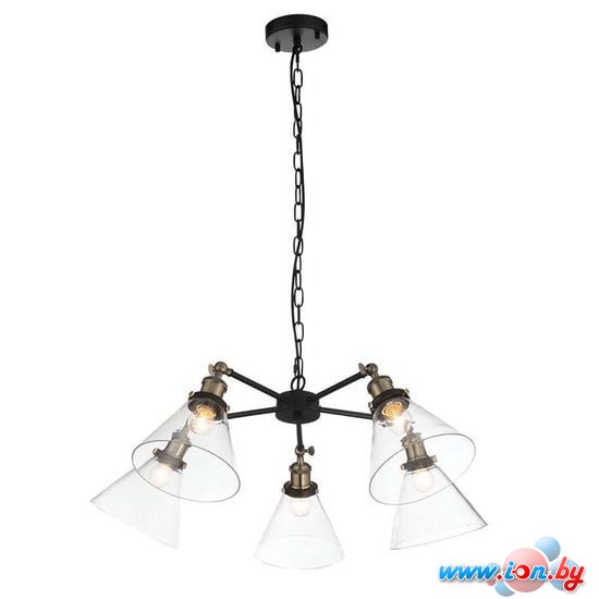 Подвесная люстра ST Luce Evoluto SL237.413.05 в Гродно