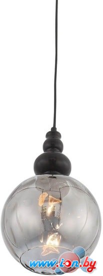 Подвесная люстра ST Luce Bacineto SL374.413.01 в Гродно