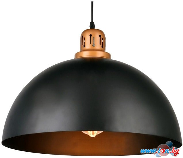 Лампа Arte Lamp Eurica A4249SP-1BK в Гомеле