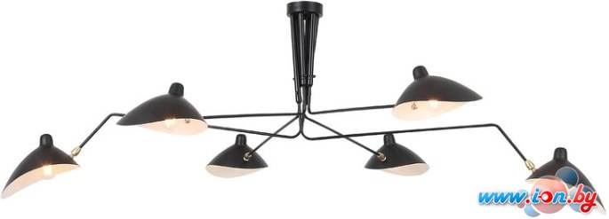 Подвесная люстра ST Luce Spruzzo SL305.402.06 в Бресте