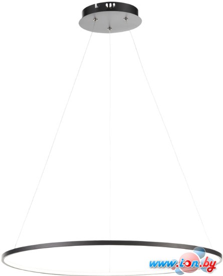 Подвесная люстра ST Luce Erto SL904.413.01 в Могилёве