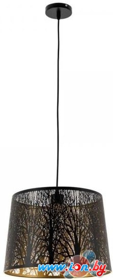 Подвесная люстра Arte Lamp Celesta A2769SP-1BK в Гродно