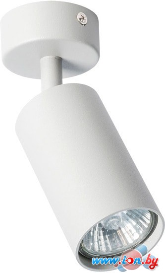 Спот Arte Lamp Aquarius A3216PL-1GY в Бресте