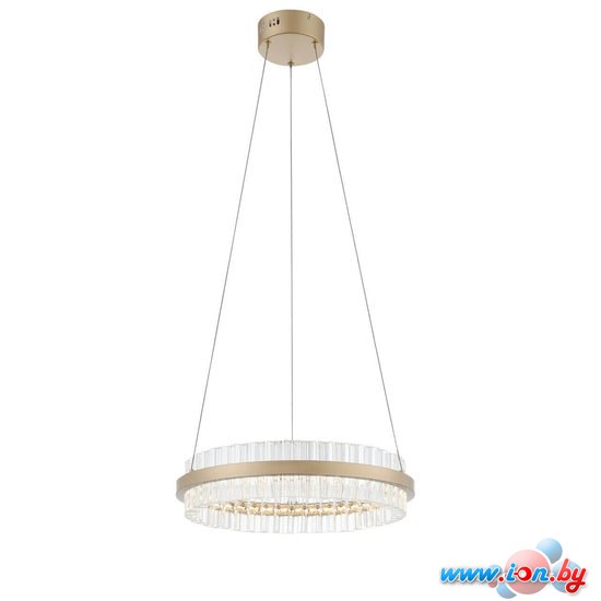 Подвесная люстра ST Luce Cherio SL383.203.01 в Бресте