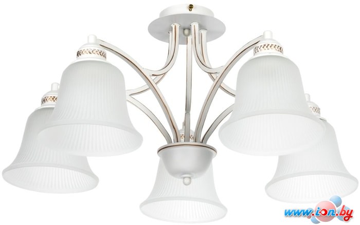 Люстра средней высоты Arte Lamp Emma A2713PL-5WG в Минске