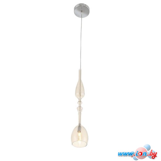 Подвесная люстра ST Luce Brichere SL373.313.01 в Минске