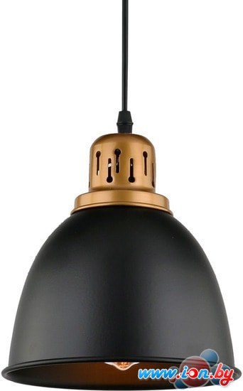 Лампа Arte Lamp Eurica A4245SP-1BK в Минске