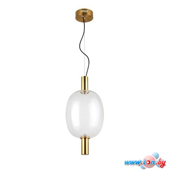 Подвесная люстра ST Luce Allenore SL1582.313.01 в Гродно