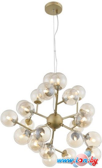 Подвесная люстра ST Luce Pallere SL438.203.24 в Бресте