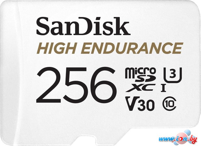 Карта памяти SanDisk High Endurance microSDXC SDSQQNR-256G-GN6IA 256GB в Могилёве