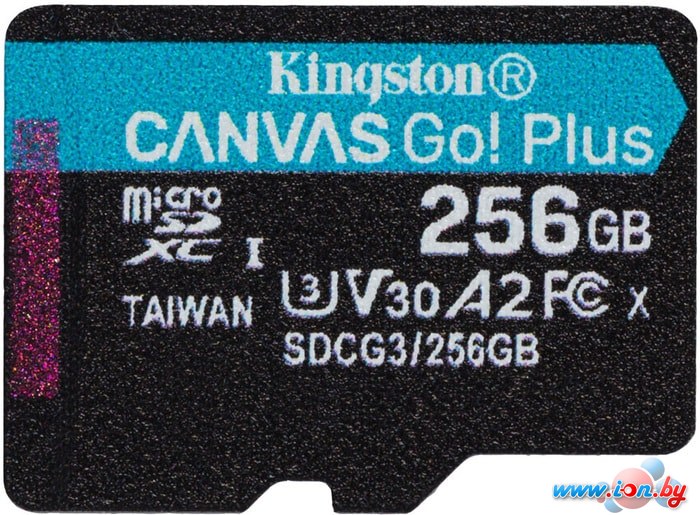 Карта памяти Kingston Canvas Go! Plus microSDXC 256GB в Витебске