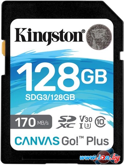 Карта памяти Kingston Canvas Go! Plus SDXC 128GB в Могилёве