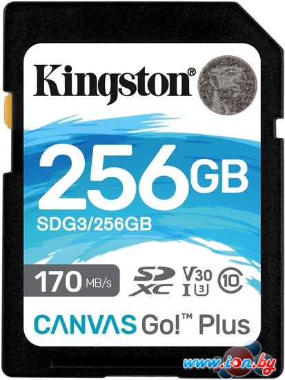 Карта памяти Kingston Canvas Go! Plus SDXC 256GB в Минске