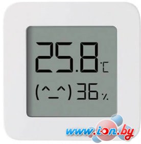 Термогигрометр Xiaomi Mi Temperature and Humidity Monitor 2 LYWSD03MMC в Могилёве