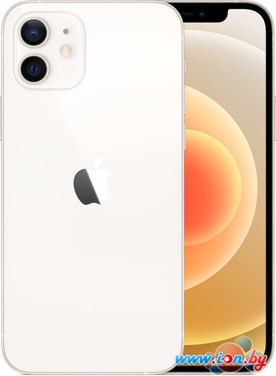 Смартфон Apple iPhone 12 128GB (белый) в Могилёве