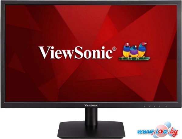 Монитор ViewSonic VA2405-h в Могилёве