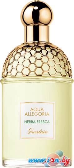 Guerlain Aqua Allegoria Herba Fresca EdT (75 мл) в Гомеле