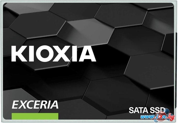 SSD Kioxia Exceria 480GB LTC10Z480GG8 в Бресте