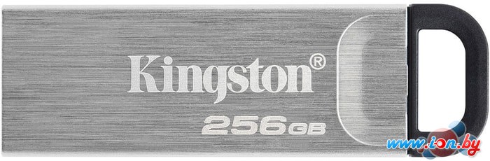 USB Flash Kingston Kyson 256GB в Бресте