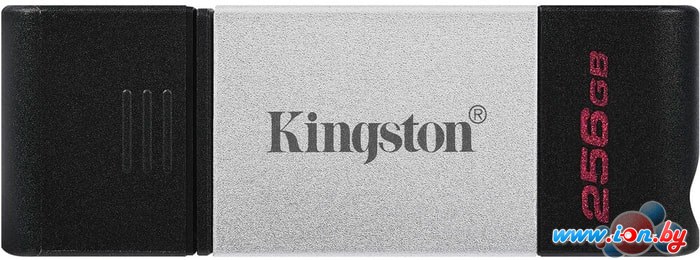 USB Flash Kingston DataTraveler 80 256GB в Могилёве